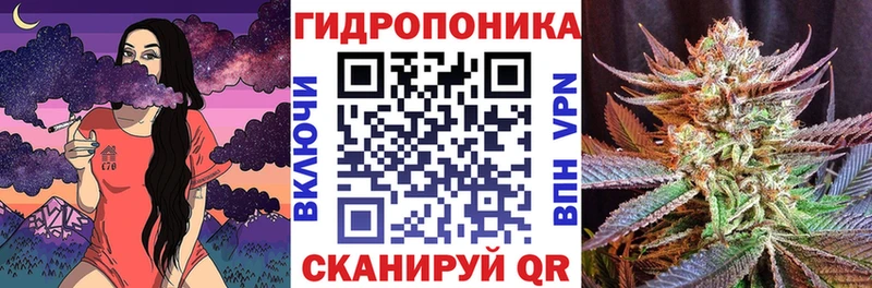 Конопля план  Купить закладки  Дубна 